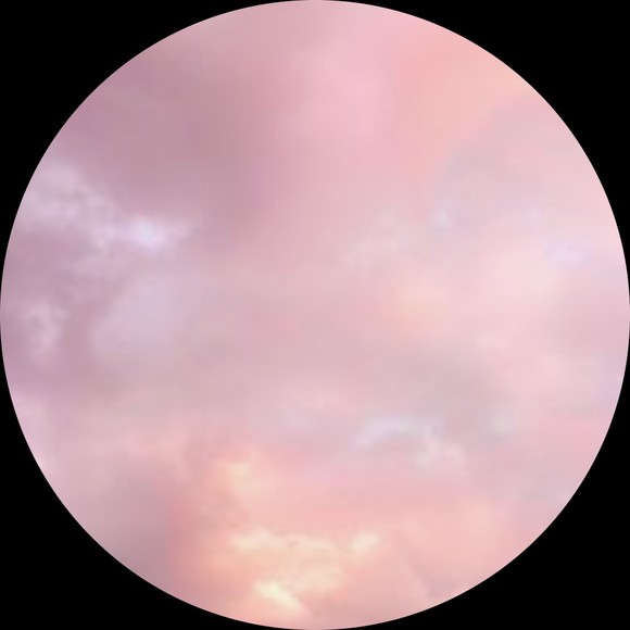 Meet your Posher, Joanna - Picture 1 of 1